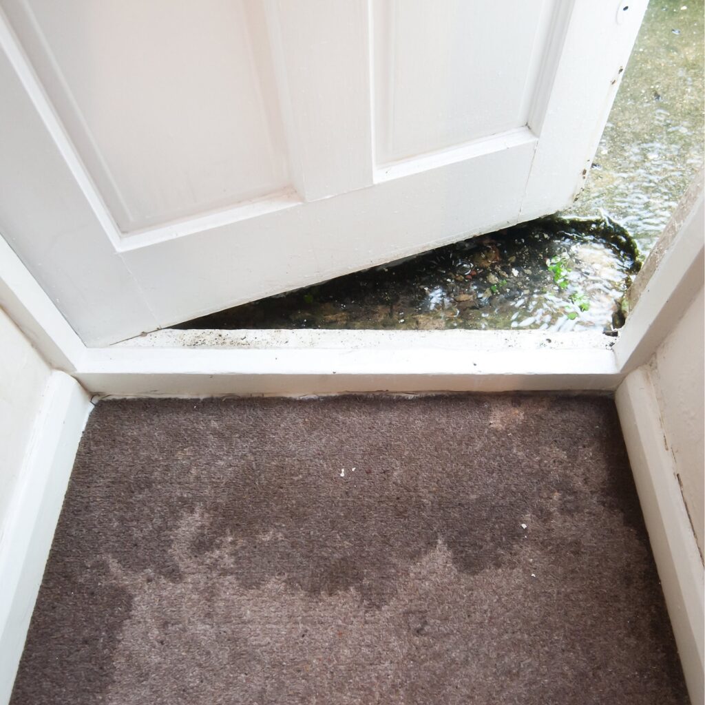 inundaciones e incendios