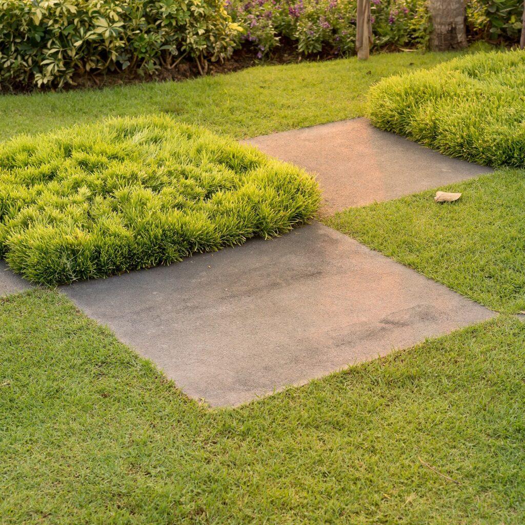 jardineria 1