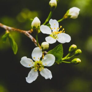 ecolabel en productos de limpieza