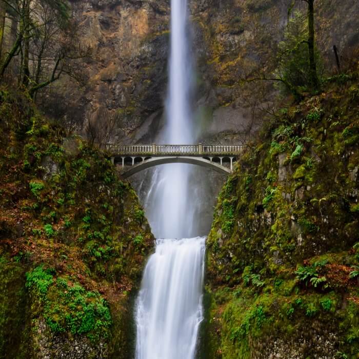 Día de la Sobrecapacidad de la Tierra