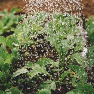 marketing sostenible