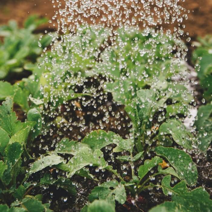 marketing sostenible