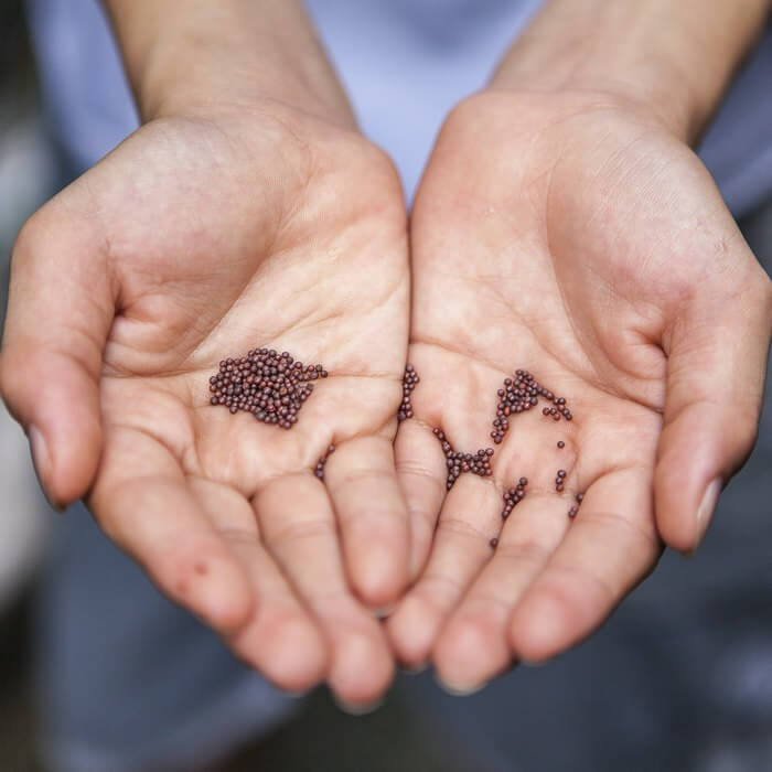 sostenibilidad para pymes