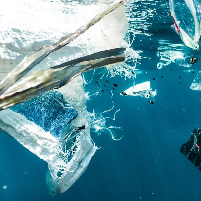 Los límites del crecimiento