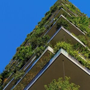 sostenibilidad en empresas