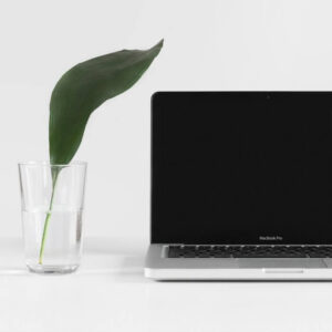 digitalización y sostenibilidad