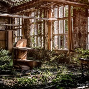 colapso provocado por una pandemia