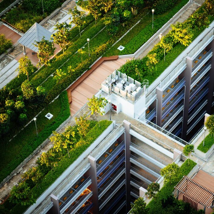 zona verde en la azotea