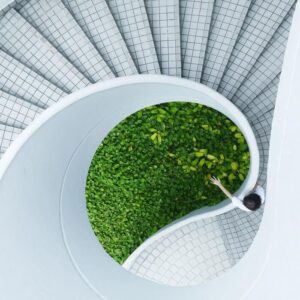 edificios saludables